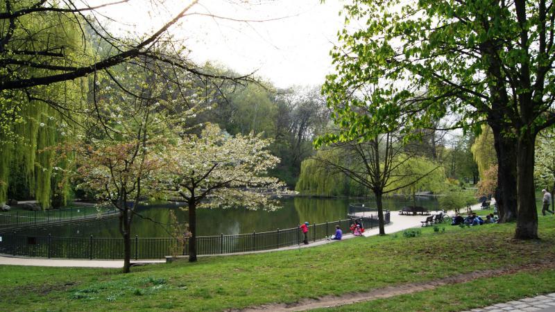 Geheime Gärten: Das sind Berlins schönste unbekannte Parks