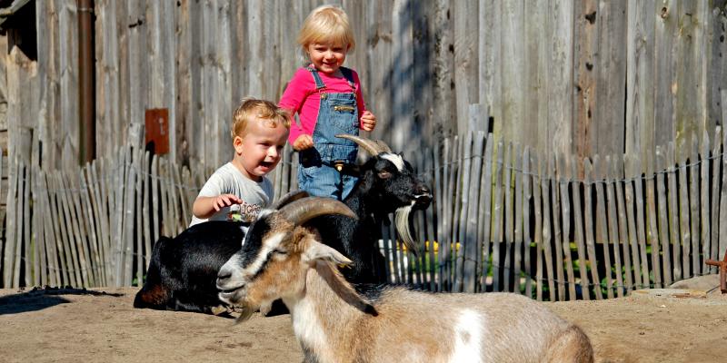 Foto: Karls Erlebnis-Hof