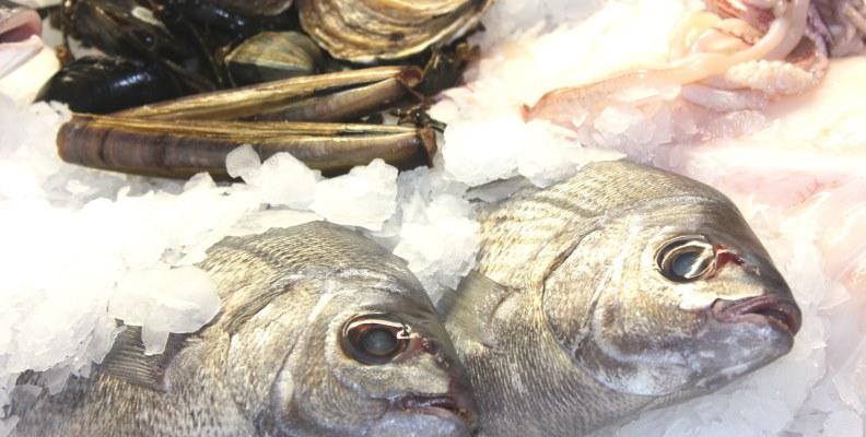 Foto: Fischrestaurant Lesendro