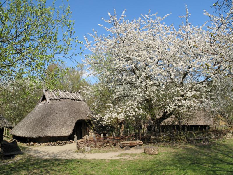 Foto: Museumsdorf Düppel | Pfützner