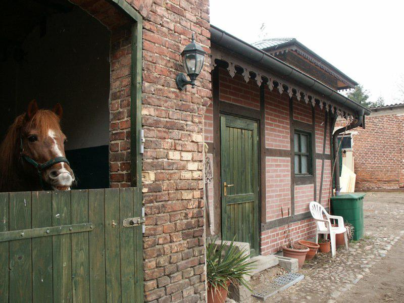 Foto: Lucky Horse Ranch Mönchsheim