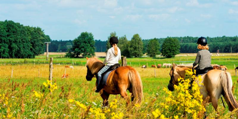 Foto: Reiter- und Erlebnisbauernhof Groß Briesen