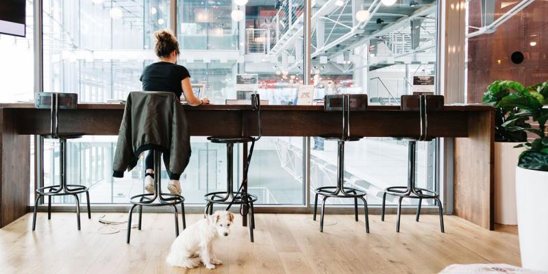 Foto: WeWork